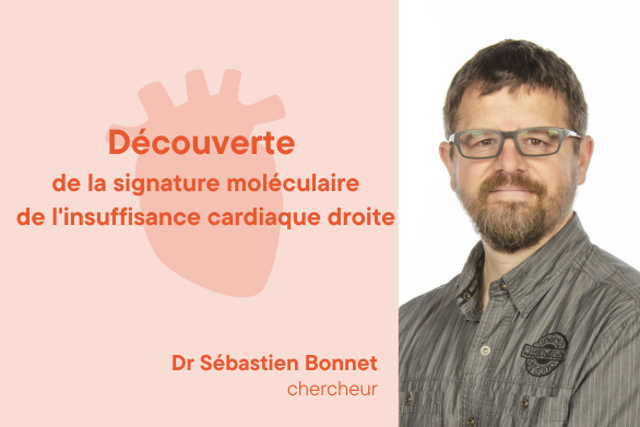 Dr Sébastien Bonnet, Chercheur, Une équipe de notre centre de recherche a découvert la signature moléculaire de l'insuffisance cardiaque droite