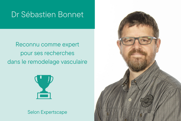 Dr Sébastien Bonnet reconnu comme expert mondial pour ses recherches dans le remodelage vasculaire