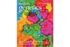 Crédit photo : Nature Genetics. Dot Composition 2 by Erin Dewalt and Violet Dewalt.